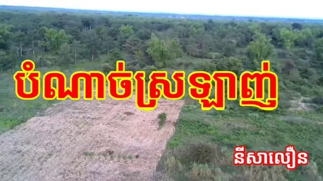 បណាច់ស្រឡាញ់ Bom nach srolanh, រមតកដើម លោក នីសាលឿន, Old song by Ny SaLouern смотреть онлайн