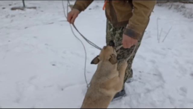 Убрали обои и ламинат в спальне. Что обнаружили под обоями? Полезли на крышу для утепления труб. смотреть онлайн