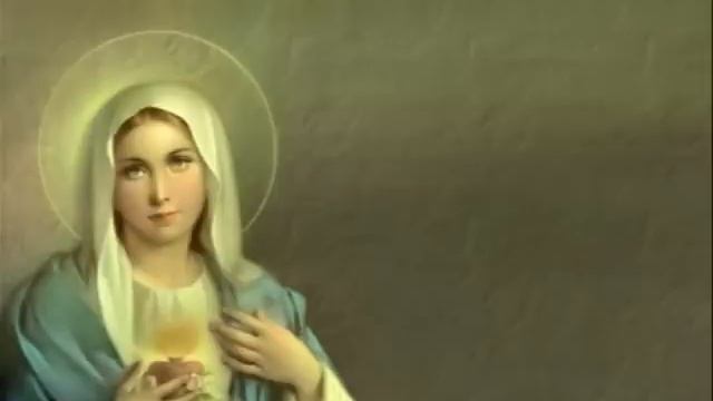 The Selection of Classical Music 28 "First Steps" смотреть онлайн