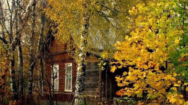 Разорван тюль. Автор стихов Алла Волонтырёва. Музыка и исполнение Николай Саллас смотреть онлайн