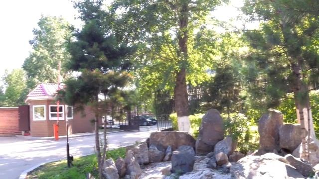 хвойные смотреть онлайн