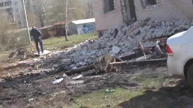 снос нелегального магазина 2 часть смотреть онлайн
