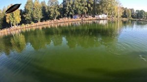 Работа Norstream Areator 2 662sul на спортивной форели. Командные моревнования ITC 09.2024