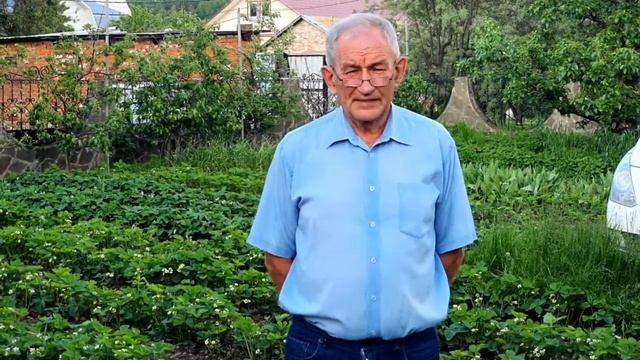 Тимирязевка глазами Виктора Ольхового смотреть онлайн