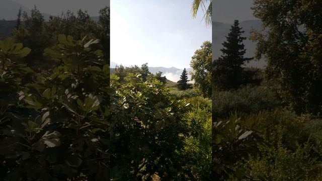 Пожар в Кемере 27.08.2017 смотреть онлайн