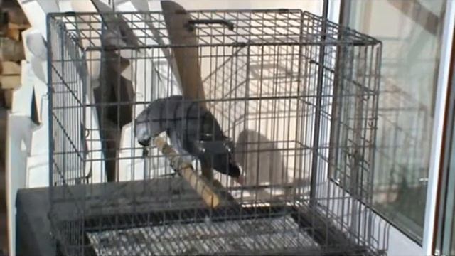 Первые солнечные ванны в январе смотреть онлайн