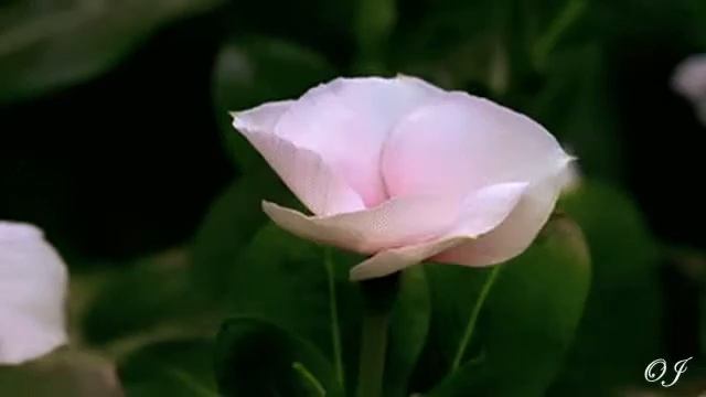 *** - Lisa Fisher - Song Of The Earth - *** смотреть онлайн