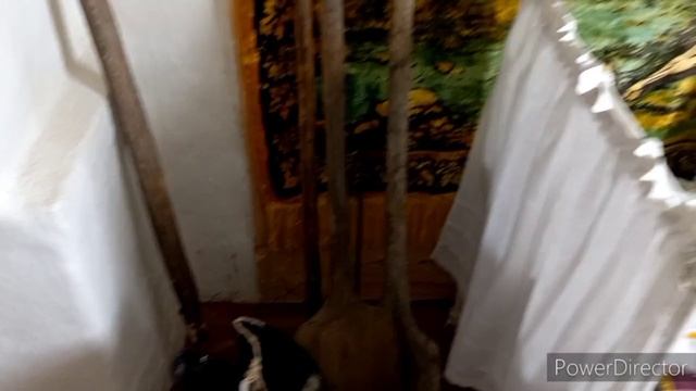 video5339029474350483838