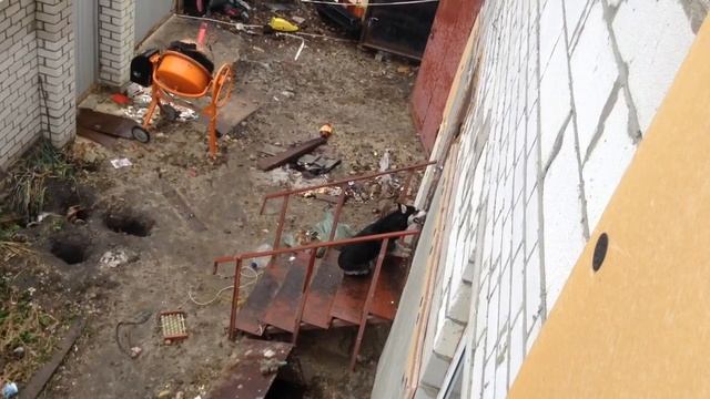 Хаски очень хочет домой смотреть онлайн