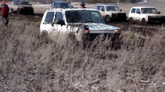 Кикимора (2016)