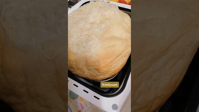 хлеб, хлебопечка #семья #вкусно #мамадочь #кухня #invasvet смотреть онлайн