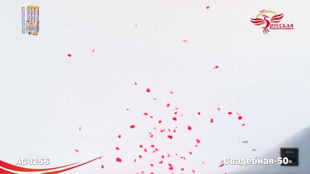 AC0256 смотреть онлайн