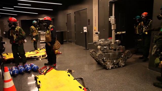 OWN it 2 Globetrotters 7.5 смотреть онлайн