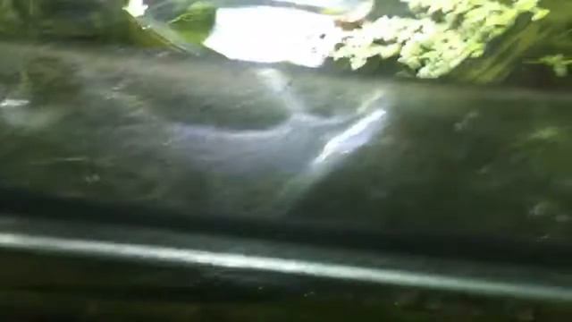 Ламповый стрим. Бэта смотреть онлайн