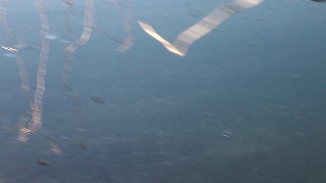 DSCN2801Зима 2019 Чегемские водопады