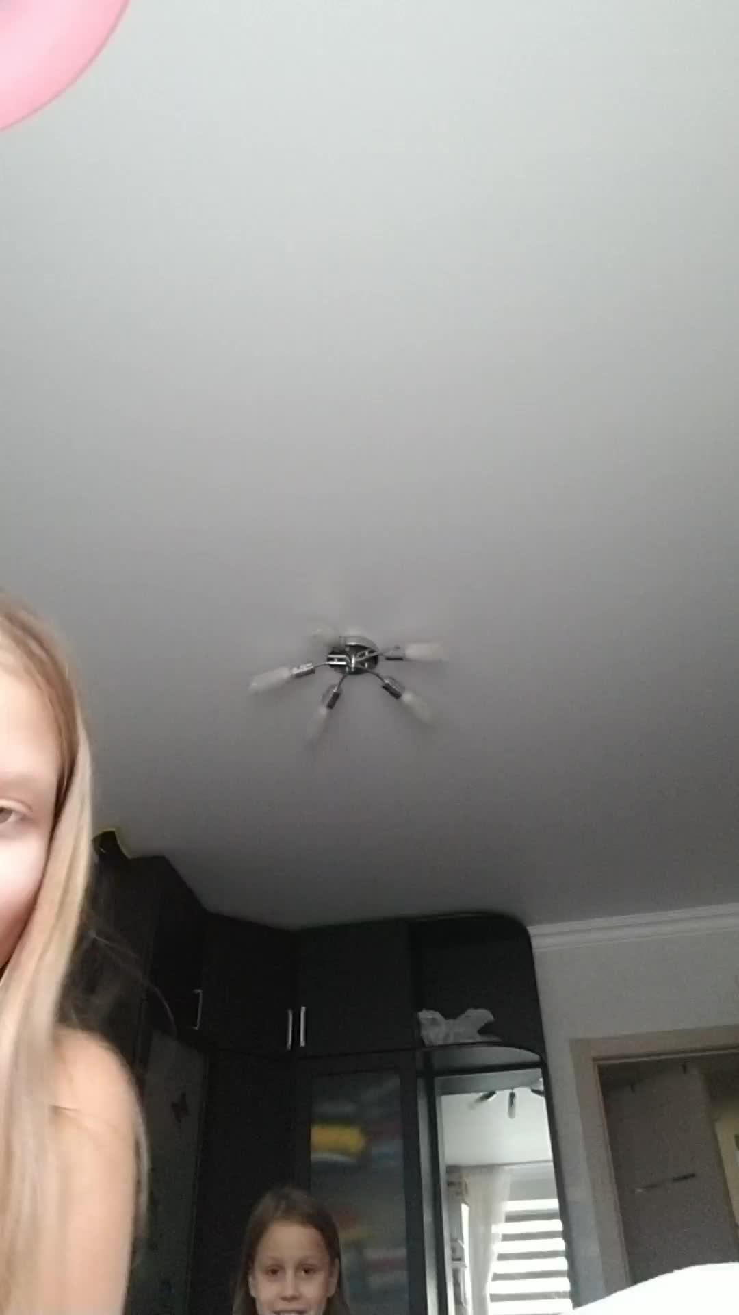 видео про лапки