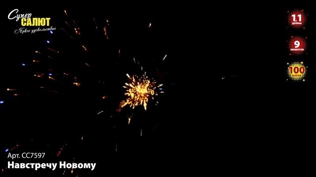 СС7597_2024 смотреть онлайн