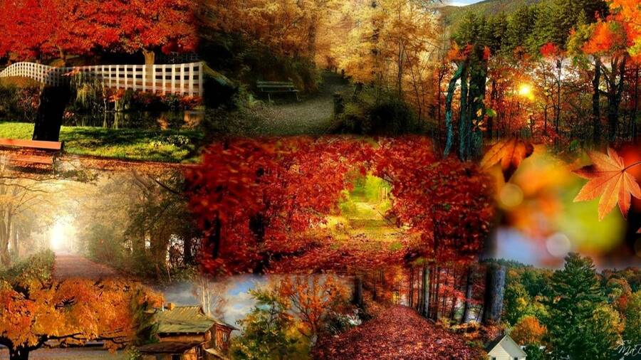 Мастер-класс "Осенний пейзаж" смотреть онлайн