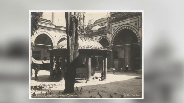 MUHTEŞEM SULTAN SÜLEYMAN | KARINCA HIKAYESI - OSMANLI HIKAYELERI