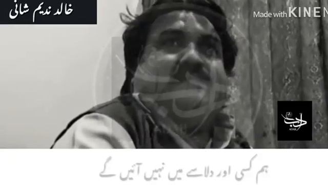 Khalid Nadeem Shani смотреть онлайн