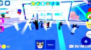 Игра с котятами | Празднуем 19 подписчиков🥳🎉 опоздала немного выложить это видео