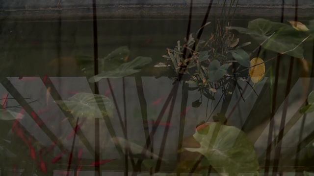 William Fitzsimmons Live Performance of "Covered In Snow" in Brussels 12.6.09 смотреть онлайн