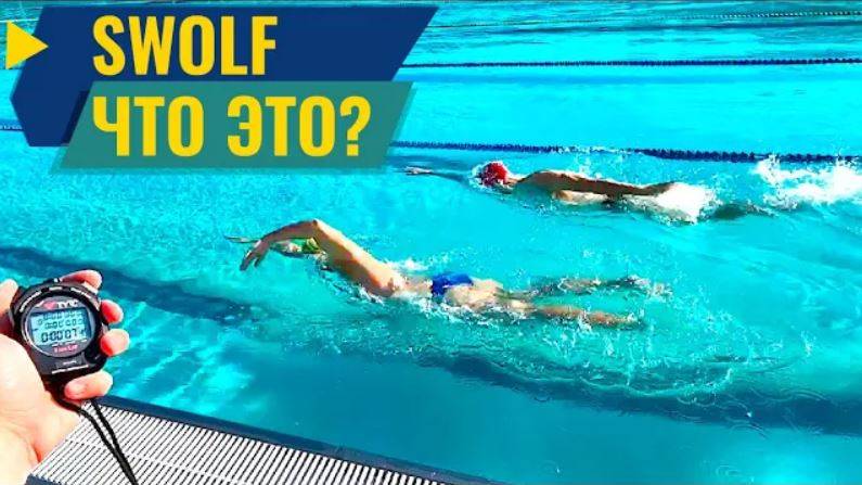 КАК ЭФФЕКТИВНО плавать кролем? SWOLF смотреть онлайн
