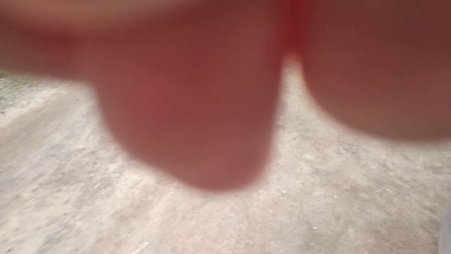 Z24 карбюратор К151