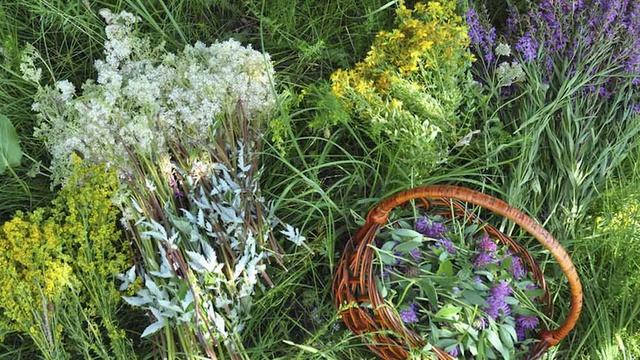 Ни в коем случае не украшайте ЭТИМ завтра свой дом! Беды не избежать - ваша жизнь разрушится! смотреть онлайн