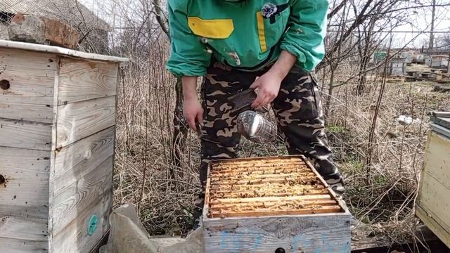 Состояние Семей на 2 апреля, итог зимовки смотреть онлайн