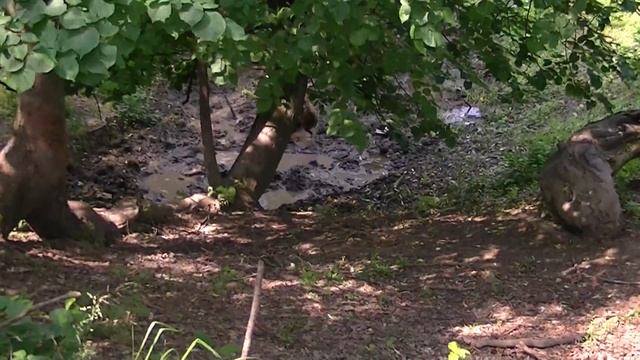 -грязевая ванна смотреть онлайн