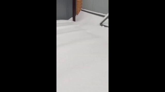 Перевозка корпусной бани с панорамными окнами смотреть онлайн