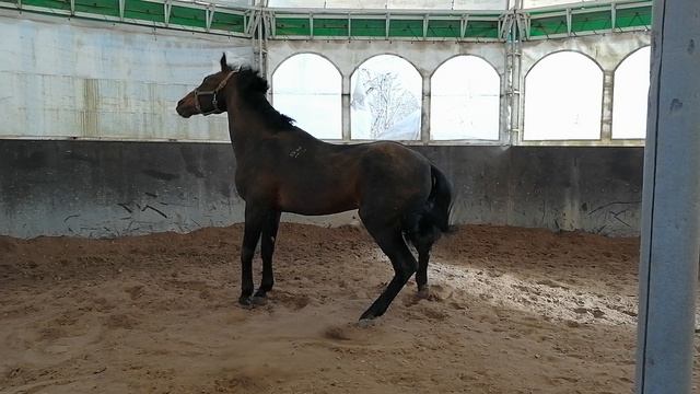 АНАЛОГ валяется 20240330_163636 смотреть онлайн