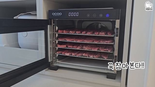 먹깨비 강아지 앞에서 간식을 만들었더니... смотреть онлайн