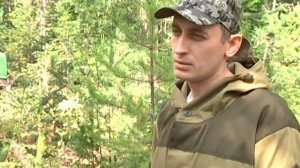ООО «ЛесСервис». Лесозаготовка