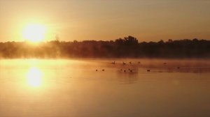 'Древлегорск' 'Оять' 'Радость' 'Лебёдушка'