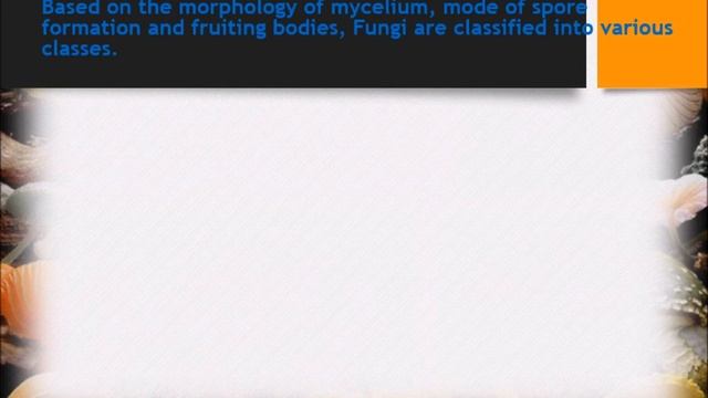 Kingdom Fungi [Five Kingdom Classification] | Introduction | Characteristics | Classification смотреть онлайн
