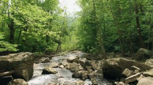 Медитация для начинающих - Урок 1. Как правильно медитировать в домашних условиях!