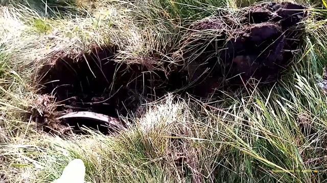 Урочище,Здесь Была Деревня Киселевка, Съездил на Поиски Металла. смотреть онлайн