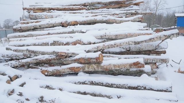 Торговая база "Романовский Зодчий" смотреть онлайн