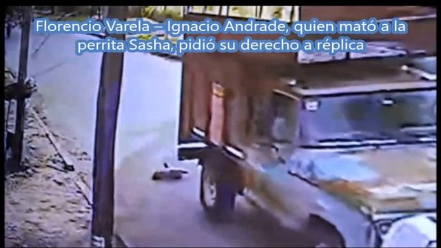 Florencio Varela – Ignacio Andrade, quien mató a la perrita Sasha, pidió su derecho a réplica смотреть онлайн