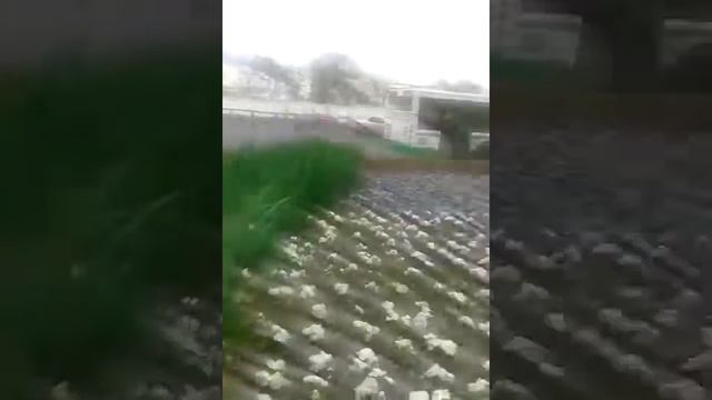 московский авиационный институт смотреть онлайн