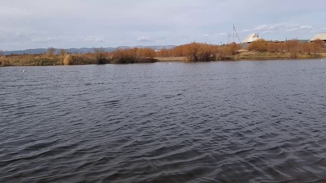 2 октября на воде гонка ЭКСПЕРТ смотреть онлайн