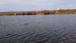 2 октября на воде гонка ЭКСПЕРТ