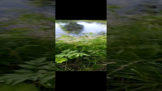 VID_20240715_192101.mp4 смотреть онлайн