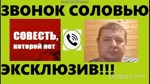 Дозвонился до Лаек Соловьева смотреть онлайн