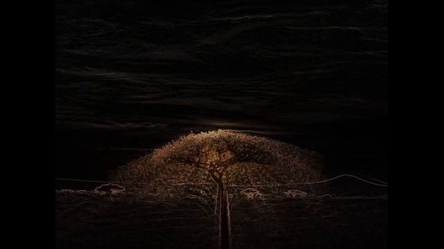 Brian Falkowski - INTROVERSION - "Manjou" (Salif Keita) смотреть онлайн