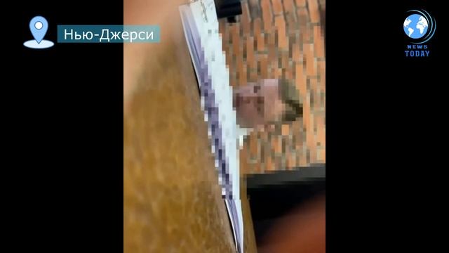 ОТЧИСЛИЛИ ЗА ЛАЙК В ИНСТЕ! ЧТО ПРОИСХОДИТ В ВЫСШЕЙ ШКОЛЕ ОСТАНКИНО смотреть онлайн
