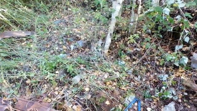 Забираю остатки проволоки из леса. смотреть онлайн