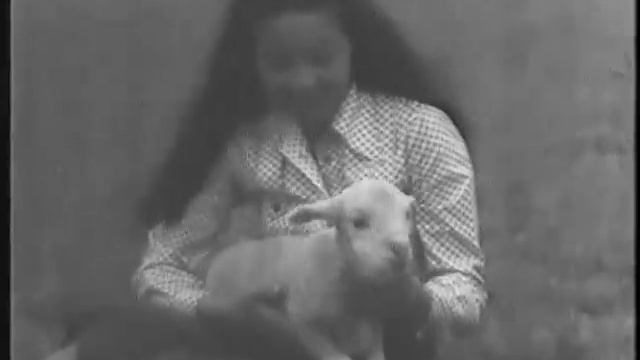 Сакман и джангарчи 1974 год смотреть онлайн